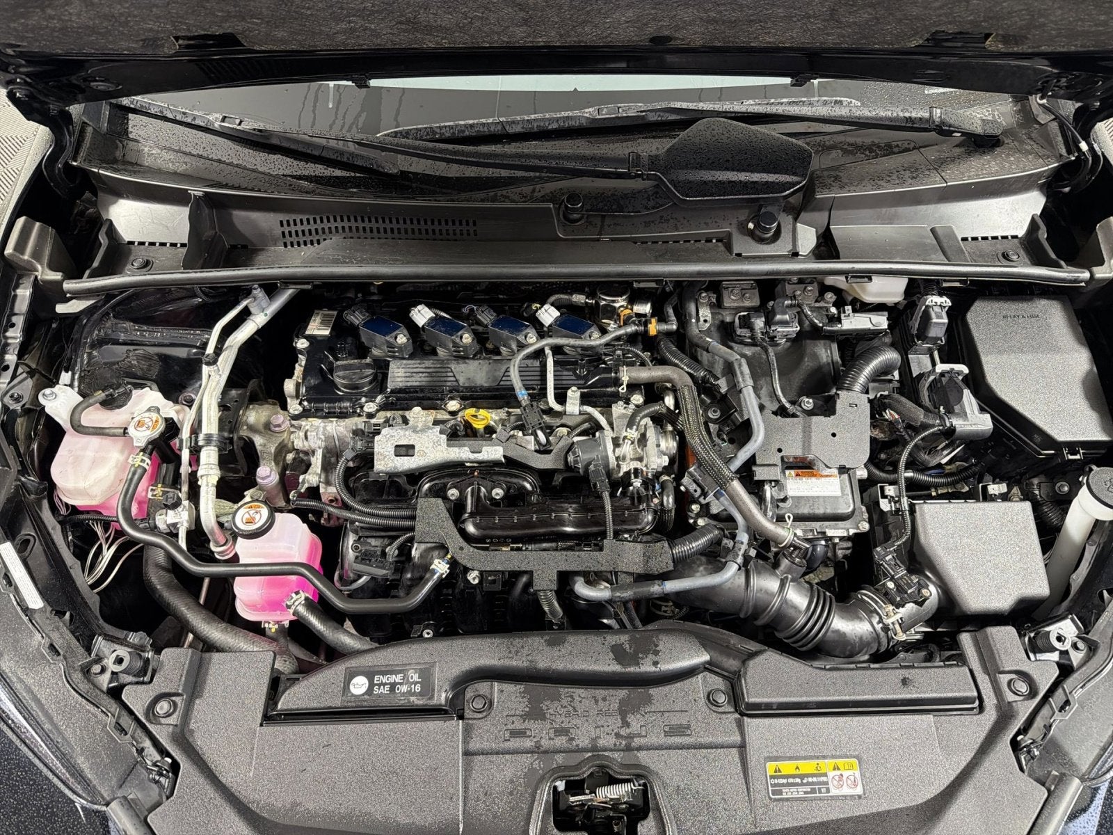 2023 Toyota Prius LE